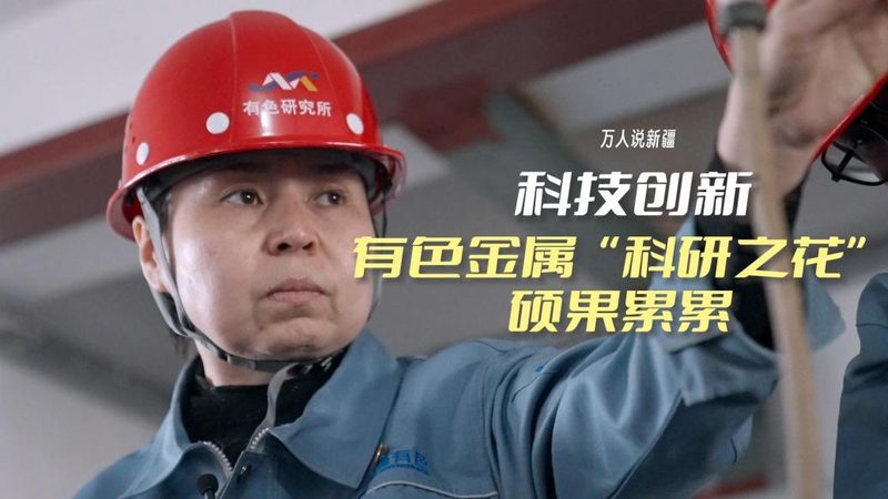 供应链管理软件实施流程：关键步骤与要点解析